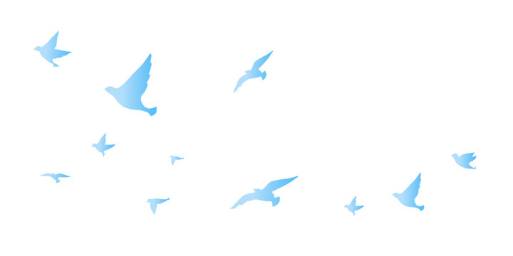 大空を飛ぶ鳥のシルエットのフレームイラスト　背景イラスト