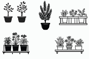 plants in pots