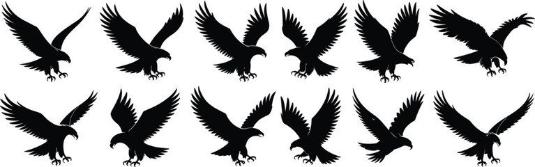 Flying eagle silhouette vector set, predatory bird icons, black hawk illustration, wild raptor design, aggressive wings spread clipart