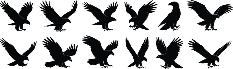 Eagle silhouette vector collection, flying bird icon set, predatory bird graphic, raptor illustration, wildlife clipart