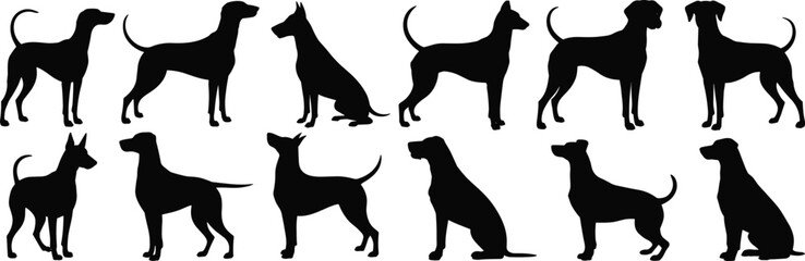 Dog silhouettes in various poses, black pet vector collection, sitting and standing dog artwork, perfect for design
