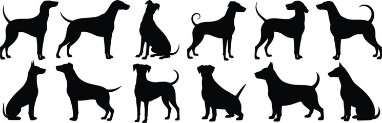 Dog silhouette collection, pet animal vector pack, various dog poses, black dog shapes for design, logo, sticker