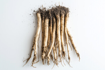 Abstract macro close up of a brush and a bunch of toothpicks against a white background, highlighting their natural plant texture