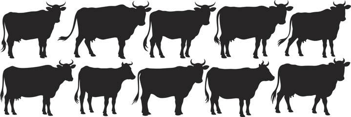 Cow silhouette vector collection, standing farm cattle design, domestic animal illustration, livestock clipart bundle