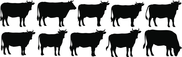 Cow silhouette collection, black cattle vector set for farm animal illustrations, livestock graphic design, agricultural icon