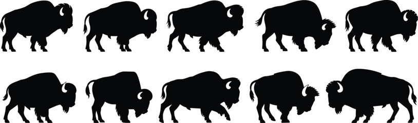 American bison silhouettes collection, black wild buffalo vector graphics, standing and walking poses for wildlife