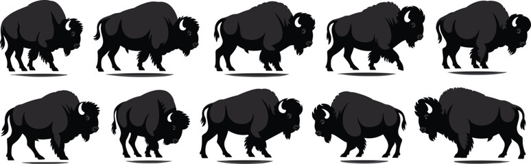 American bison silhouette collection, wild buffalo vector illustration, powerful animal poses for wildlife design
