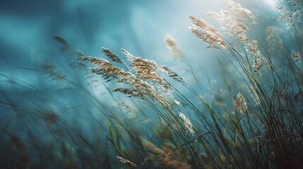 Magazine Photography Style: Calming Rhythms, featuring visuals designed to enhance mental and emotional wellness, with tranquil and soothing imagery. High quality