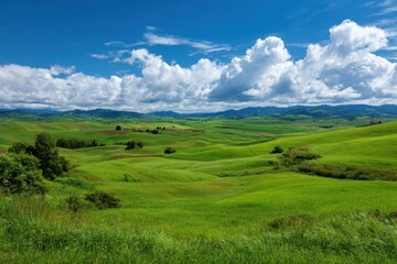 Obraz premium Rolling green hills under a summer sky