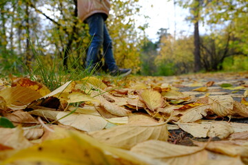 Obraz premium Happy child enjoying nature outdoors. Child girl walking. Autumn park. Hello October. Beautiful in nature. Atmospheric mood, enjoying nature.Having good times