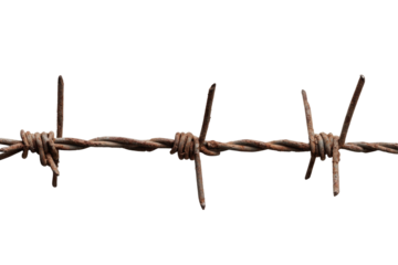 Close up of rusty barbed wire fence security border protection danger sharp metal wire