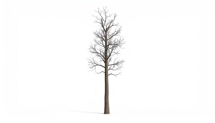 Obraz premium A captivating 3d rendering of a leafless tree isolated against a plain background depicting nature's dormant phase