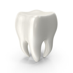 Realistic Human Tooth Anatomy Model Isolated on Transparent Background