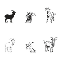 Group goat vector design