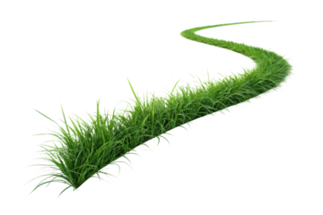 Winding green grass pathway forming gentle curve with detailed natural grass texture and growth, isolated on a transparent background