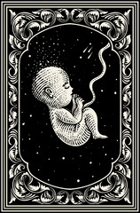 Illustration Fetus Embryo Cosmic on Engraving Ornate Frame - Vector Design