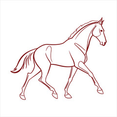 silhouette horse on white background