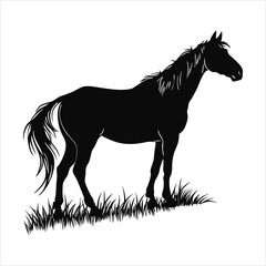 silhouette horse on white background