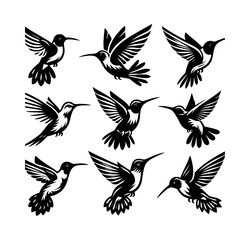Fototapeta premium Nine hummingbird silhouettes in flight