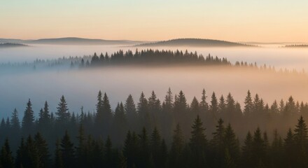 Fototapeta premium Misty Mountain Forest at Sunrise: A Breathtaking Landscape Photography