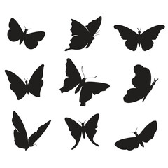 Butterfly Vector set