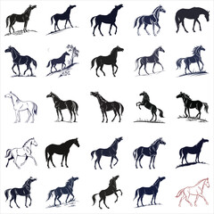 silhouette horse on white background