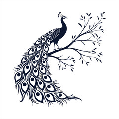 Fototapeta premium silhouette peacock on white background