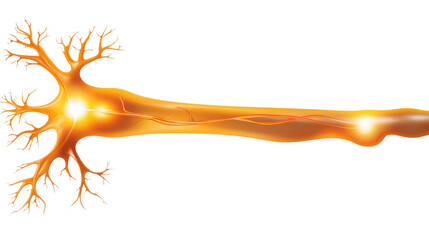 Illuminated Neuron with Branches and Synapse in Vibrant Orange and Yellow Colors on a Transparent Background