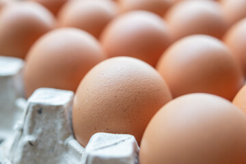Fresh organic brown chicken eggs in cardboard tray