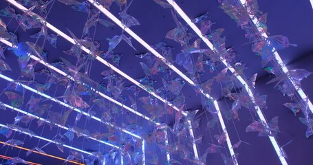 plastic butterflies hanging with light games