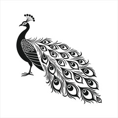 silhouette peacock on white background
