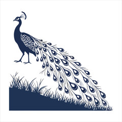 Fototapeta premium silhouette peacock on white background