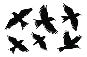 Flock of Flying Birds Silhouette Vector Set of Black Bird Icons
