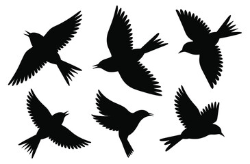 Obraz premium Flock of Flying Birds Silhouette Vector Set of Black Bird Icons 