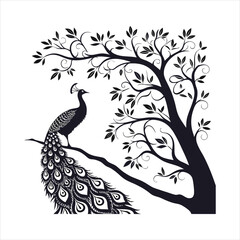 Fototapeta premium silhouette peacock on white background