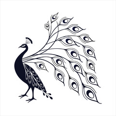 Fototapeta premium silhouette peacock on white background