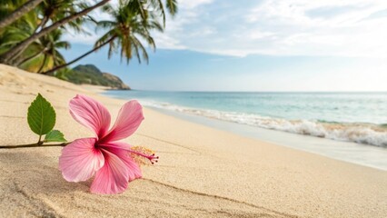 Bright hibiscus flower on sandy beach with ocean backdrop. Symbol of tropical resilience, coastal beauty, and peaceful floral inspiration