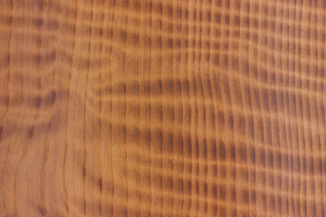 natural wood, with a beautiful pattern. natural wood background. wooden board with natural seamless texture. sequoia, Cupressaceae, view from above, horizontal