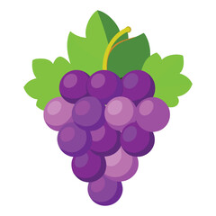  grapes on white background
