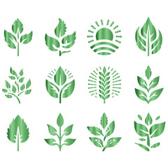 A beautiful and high quality editable collection of summer botanical prints