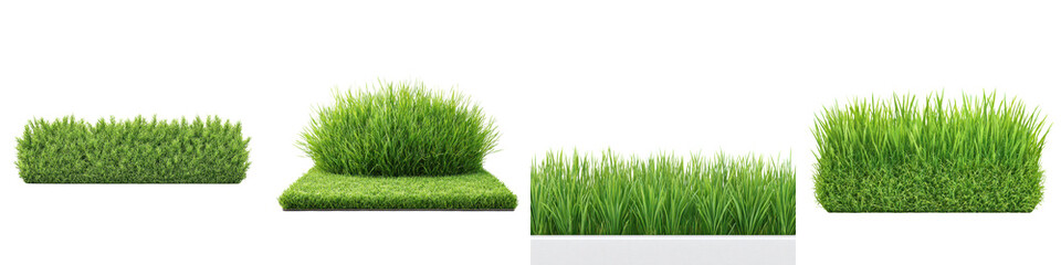Lush green grass patches in a natural setting