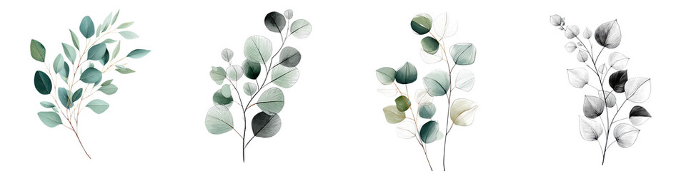 Arrangement of various green leaves and branches