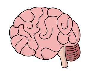 Simple illustration of a human brain anatomy