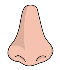 Simple cartoon illustration of a human nose