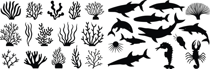 Comprehensive Marine Life Silhouettes Vector Collection: Underwater Coral, Seaweed, Sharks, Dolphins, Seahorses, and Sea Creatures for Design