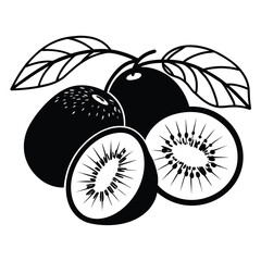 Colorful Kiwi Fruit Silhouettes Vector Illustration