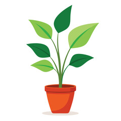 Fototapeta premium indoor plant on white background