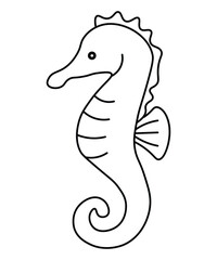 Seahorse Line Art Sketch