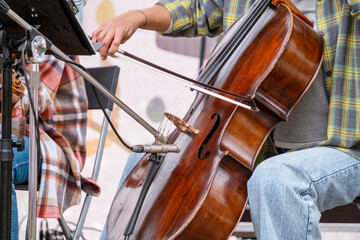 Fototapeta premium Musicians Playing Cello and Violin at Live Performance