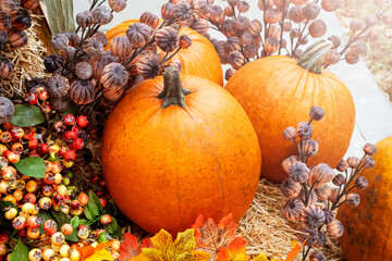 Harvest Display with Pumpkins and Autumn Leaves